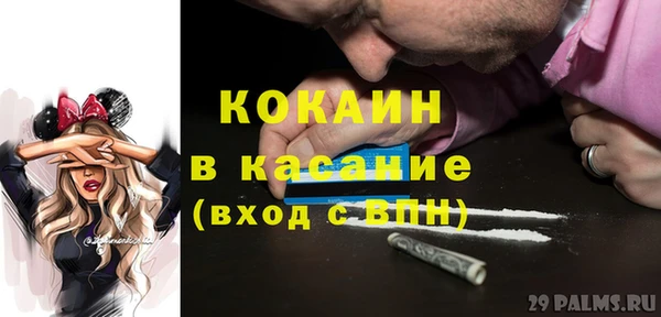 прущие грибы Козельск