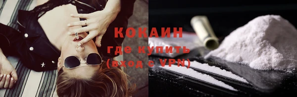 прущие грибы Козельск
