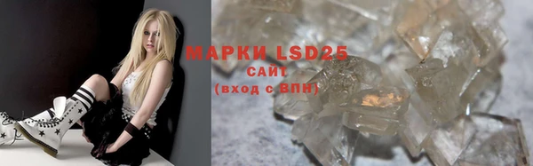 прущие грибы Козельск