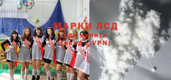 прущие грибы Козельск