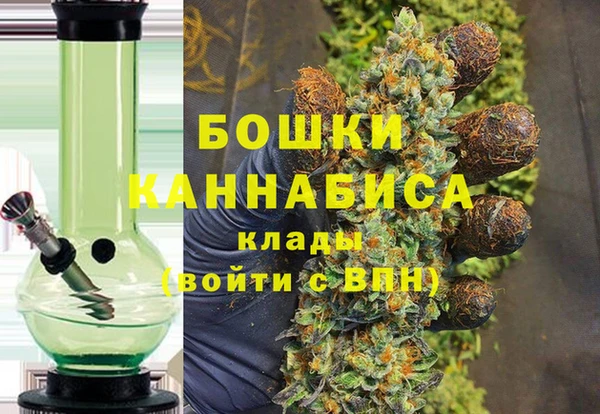 прущие грибы Козельск