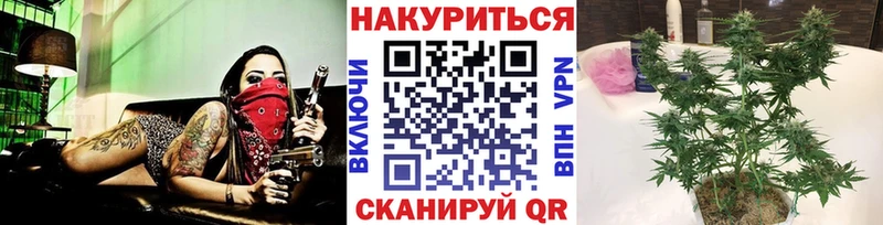 Купить закладки Северская МАРИХУАНА планчик